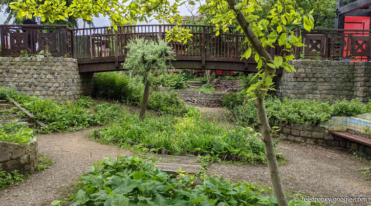 London’s Pocket Parks: Calthorpe Community Garden, WC1