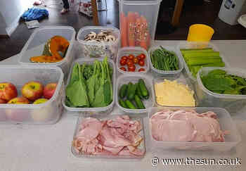 Woman shares hack to get fresh food to last up to FOUR WEEKS…and the trick is to be lazy... - The Sun