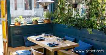 Fay Maschler weekly food diary best restaurants cafes meals - Tatler