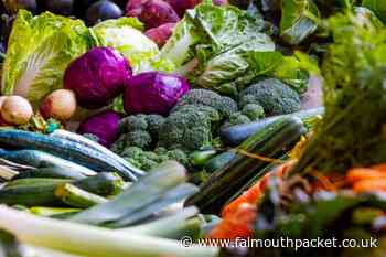 Food charities in Cornwall get cash boost from DEFRA funding - Falmouth Packet