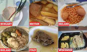 Social media users share snaps of the WORST food served up in hospitals around the world - Daily Mail