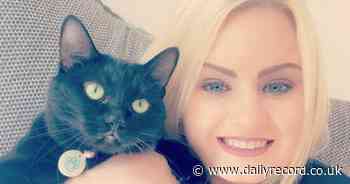 Paisley cat owner's warning after food linked to deadly feline disease - Daily Record