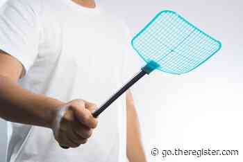 Giant predatory ancient insects pioneered mobile comms 310,000,000 years ago