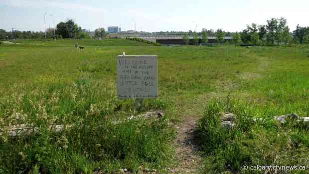 Inglewood residents express concerns over city plans for new bike pump track