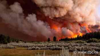 Raging wildfires, extreme heat forecasts prompt evacuations in Northern California