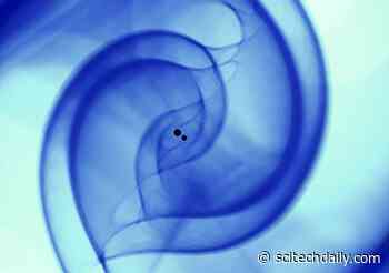 Scientists Use Artificial Intelligence to Detect Gravitational Waves – Orders of Magnitude Faster