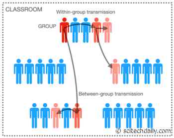 Here’s What Scientists Say Is Needed to Prevent Large COVID-19 Outbreaks in Schools