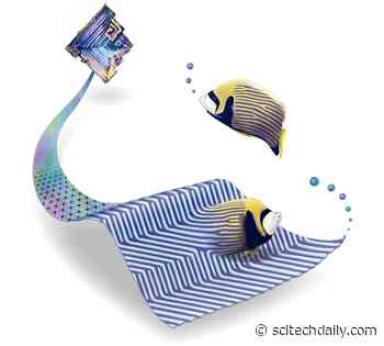 Surprising Stripes: Turing Patterns Link Tropical Fish and Bismuth Crystal Growth