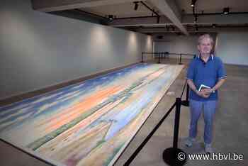 Lommelaar (79) maakt reusachtig zandtapijt over Lommelse Sah... (Lommel) - Het Belang van Limburg