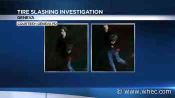 Geneva Police searching for suspect after tires slashed