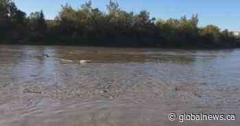 Man swept into river while trying to help dog near Drayton Valley: RCMP