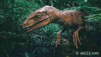 Massive dinosaurs stomp into Houston area for giant Texas return - KTRK-TV