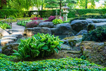 Pflanzenschauhaus im Botanischen Garten in Augsburg wieder geöffnet - TRENDYone - das Lifestylemagazin