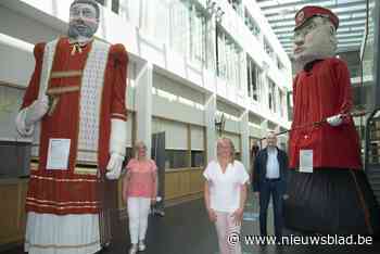 Reuzen kleuren Zedelgemse zomer