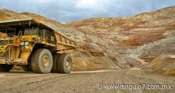 Minera insiste en remoción de 4.3 hectáreas de encino en Honey - Ángulo 7