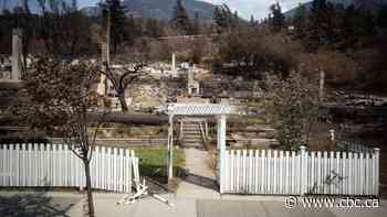 Lytton, B.C., residents tour 'vista of destruction' after wildfire tears through community