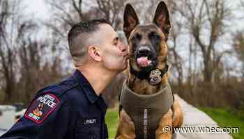 Greece Police Department's K9 Ryan awarded Healthcare for K9 Heroes grant