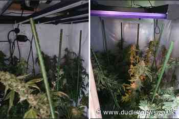 Police raid cannabis farm in Dudley | Dudley News - Dudley News
