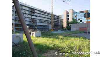 "Palaspecchi, tanti proclami ma qui è tutto fermo" - il Resto del Carlino