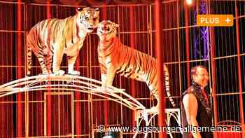 Endlich wieder Zirkusluft schnuppern: Der Moskauer Circus gastiert in Neu-Ulm