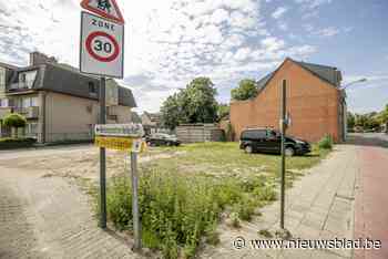 Raadslid vraagt bijenvriendelijk bloemenveld aan Kerkeblokken - Het Nieuwsblad