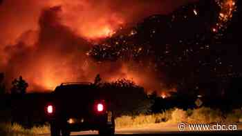 'It's not if, but when': B.C. fires expose Canada's lack of emergency preparedness, experts say
