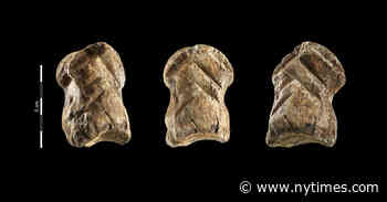 Is It Art? You May Have to Ask a Neanderthal Critic