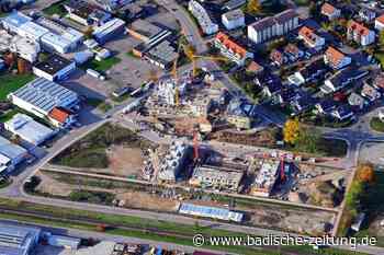 In Steinen darf ein Boardinghaus gebaut werden - Steinen - Badische Zeitung