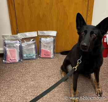 Police seize 742 grams of fentanyl near Swift Current - 620 CKRM.com