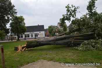 Linde neergelegd uit voorzorg