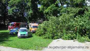 Baum fällt in Augsburg auf Spielplatz: Mutter und Kind schwer verletzt