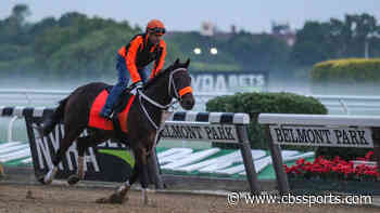 2021 Belmont Derby odds, predictions, lineup: Expert who hit superfecta reveals surprising picks