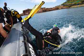 Pour se repentir et "s'intégrer à la société", ces jeunes repris de justice se jettent à l’eau