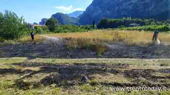 Un prato prende fuoco: vigili del fuoco in azione - TrentoToday