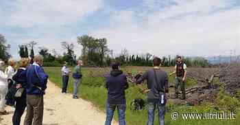 Pasian di Prato, la Pro Loco riparte e lancia un appello al Comune - Il Friuli