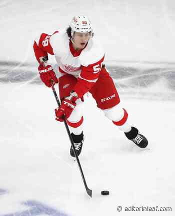 Toronto Maple Leafs Trade Rumour Alert: Tyler Bertuzzi - Editor in Leaf