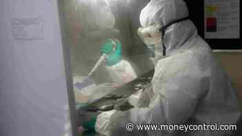 Coronavirus News LIVE Updates: Maharashtra reports 8,296 new cases, 6,026 recoveries, 179 deaths in last... - Moneycontrol