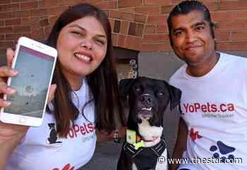 Devastating incident spurs Markham couple to create pet GPS - Toronto Star