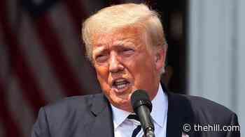 Trump tells GOP lawmakers to halt infrastructure push: You're 'being played'