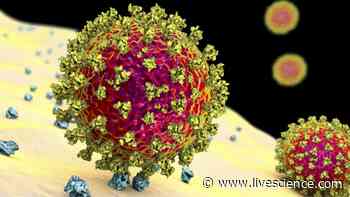 Coronavirus variants: Here's how the SARS-CoV-2 mutants stack up - Livescience.com