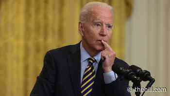 Biden urged to harden government for future pandemics