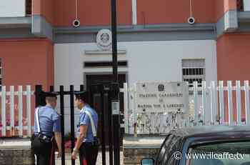 Ardea, trovate 31 piante di marijuana nell'orto di un 70enne di Colle Romito - Il Caffè.tv