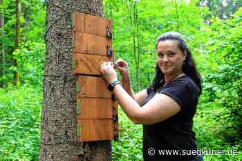 Donaueschingen: „Ich möchte nicht als Natursünder dastehen“ – Nikolina Schmid verteidigt ihr Outdoor Escape Game in Donaueschingen gegen den Vorwurf, sie würde dadurch den Wald zerstören - SÜDKURIER Online