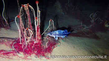 Ispra celebra la Giornata internazionale del Mediterraneo - Protezione Civile, Il Giornale della - Giornale della Protezione civile