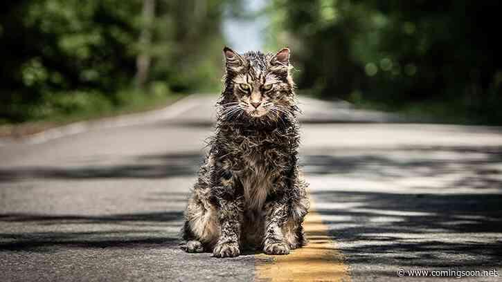 Paramount+’s Pet Sematary Prequel Adds Four Actors