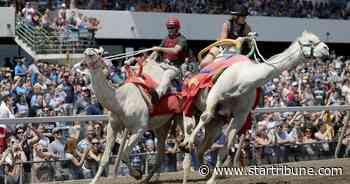 Animal welfare group PETA calls for an end to Canterbury Park's exotic animal races