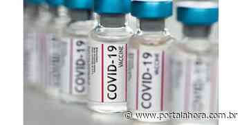 Pandemia: Imbituba e São Martinho recebem, do Estado, remessa extra da vacina; mais de 5 mil novas doses chegaram à Amurel nesta sexta-feira - Portal AHora