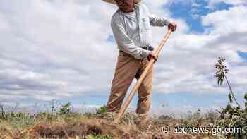 Oregon adopts most protective heat rules for workers in US