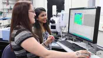 Potential treatment for stroke, brain injury studied with help from Saskatoon's synchrotron - CBC.ca