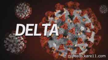 Pfizer requests approval for COVID 'booster shots' as Delta variant cases rise worldwide